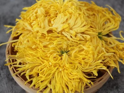 菊花茶金丝皇菊黄菊一朵一杯大菊花贡菊胎菊500g散装花茶图1