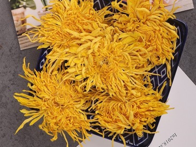 菊花茶金丝皇菊黄菊一朵一杯大菊花贡菊胎菊500g散装花茶图2