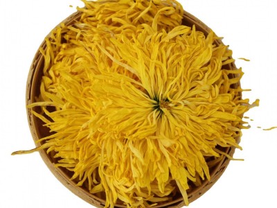 菊花茶金丝皇菊黄菊一朵一杯大菊花贡菊胎菊500g散装花茶图5