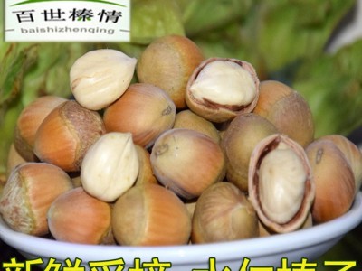 百世榛情坚果2022新鲜水仁脱皮新货东北特产水瓤生青皮大榛子批发图1