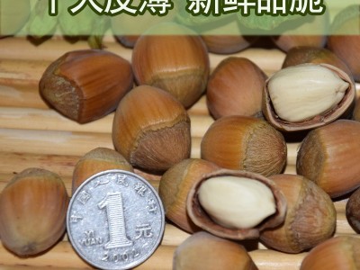 百世榛情坚果2022新鲜水仁脱皮新货东北特产水瓤生青皮大榛子批发图3