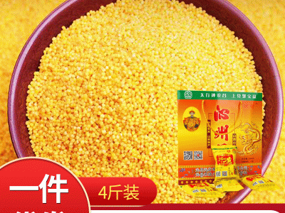 沁州黄小米 2000克礼盒装有机黄小米 家庭小米代发厂家加工图4
