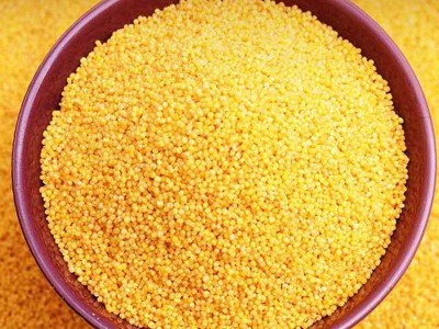 沁县有机小黄米 5000克无纺布袋装 小米粥家庭食用黄小米现货批发图3