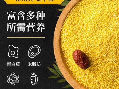 沁县有机小黄米 5000克无纺布袋装 小米粥家庭食用黄小米现货批发图2