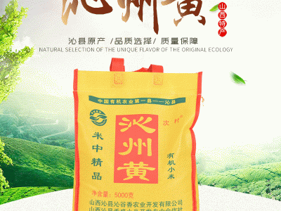 沁县有机小黄米 5000克无纺布袋装 小米粥家庭食用黄小米现货批发图4