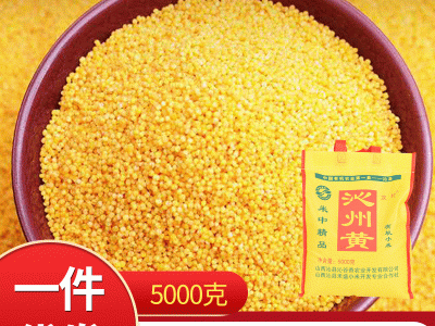 沁县有机小黄米 5000克无纺布袋装 小米粥家庭食用黄小米现货批发图5