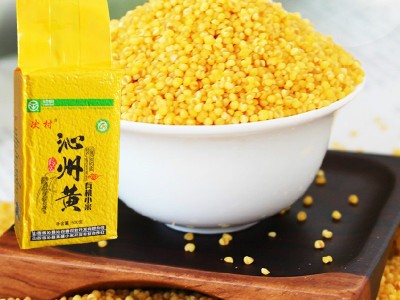 粗粮黄小米真空装500克 家庭食用有机小米五谷杂粮小米粥月子粥图3