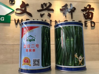 助农二号黄秋葵种子 优质水果秋葵图4