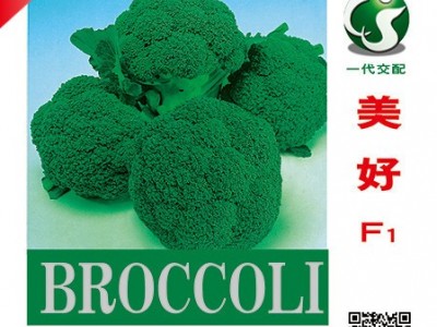 美好F1（65-70天） 西兰花种子图3