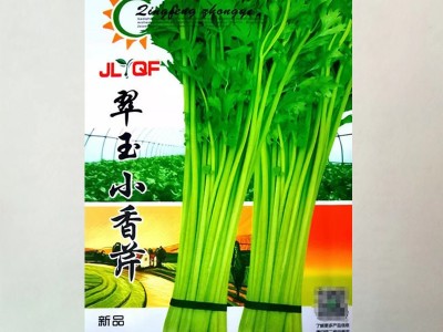 原装芹菜种子四季易播种实心小香芹种子本地春季盆栽蔬菜种籽高产图1
