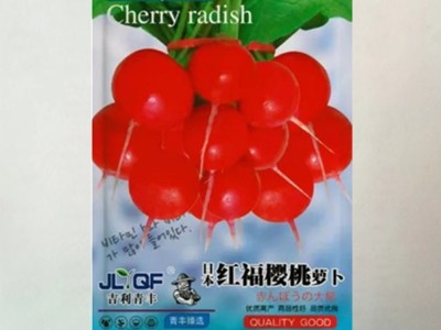 樱桃小萝卜种子籽 四季播种蔬菜种子萝卜菜籽阳台盆栽庭院蔬菜籽图4