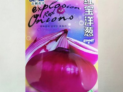 特大洋葱种子红皮紫皮四季高产早熟耐寒阳台盆栽蔬菜种子大全批发图4
