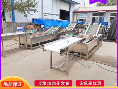 果脯蜜饯成套加工设备 杏脯干清洗流水线 黄杏青梅清洗风干生产线图3
