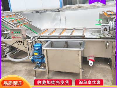 果脯蜜饯成套加工设备 杏脯干清洗流水线 黄杏青梅清洗风干生产线图4