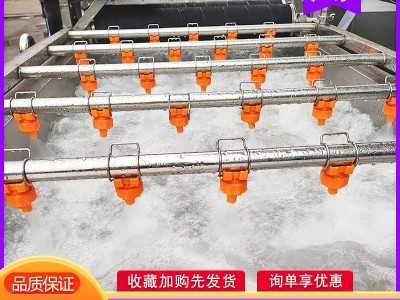 果脯蜜饯成套加工设备 杏脯干清洗流水线 黄杏青梅清洗风干生产线图5