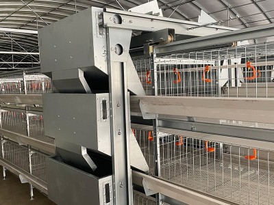 肉鸡笼养设备 全自层叠式肉鸡笼 笼养 框架式笼养 鸡笼 养殖设备图4