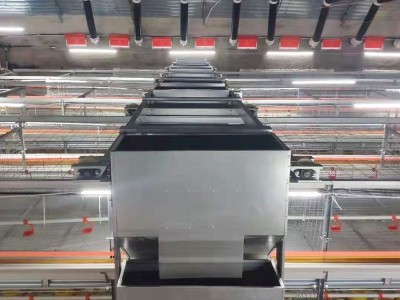 肉鸡笼养设备 全自层叠式肉鸡笼 笼养 框架式笼养 鸡笼 养殖设备图5