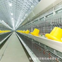 厂家定制自动化鸡笼 阶梯式蛋鸡笼 养鸡场养殖设备 肉鸡笼养设备