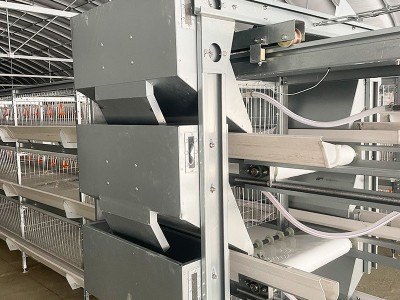 肉鸡笼养设备喂料系统 养鸡场蛋鸡笼养殖阶梯式笼 镀锌防锈鸡笼子图2