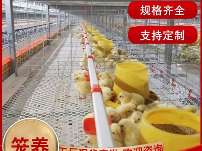 肉鸡笼养设备喂料系统 养鸡场蛋鸡笼养殖阶梯式笼 镀锌防锈鸡笼子图5