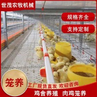肉鸡笼养设备喂料系统 养鸡场蛋鸡笼养殖阶梯式笼 镀锌防锈鸡笼子