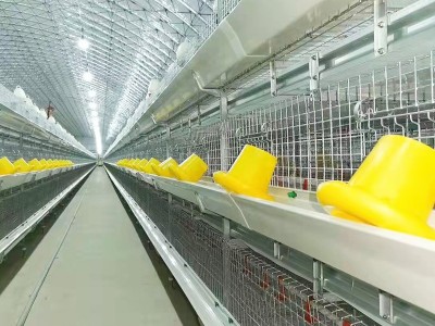 肉鸡笼养设备喂料系统 养鸡场蛋鸡笼养殖阶梯式笼 镀锌防锈鸡笼子图4