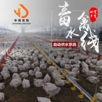 养鸡鸭子水线设备 平养鸡鸭舍养殖水线 肉鸡鸭鸡用水线 供水系统