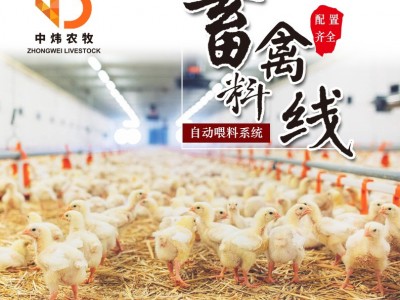 养鸡设备 平养鸡鹅自动化供料系统 肉鸡肉鸭料线 养鸡鹅自动料线图5