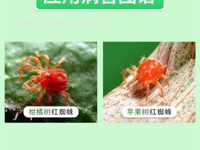 鑫天兰20%乙螨唑杀卵若虫红蜘蛛白蜘蛛二斑叶螨图2