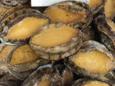 熟冻鲍鱼鲜活大个鲍鱼干货特级大连鲍鱼即食鲍鱼酒店专供鲍鱼批发图4