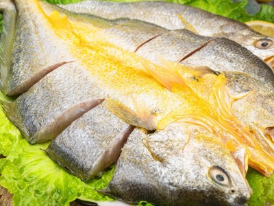 信月醇香宁德大黄鱼开背黄鱼鲞新鲜深海黄花鱼海鲜大黄鱼厂家直供图2