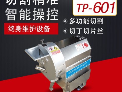 全自动大型商用红薯切丝机 多功能不锈钢黄瓜切片机 胡萝卜切块机图2