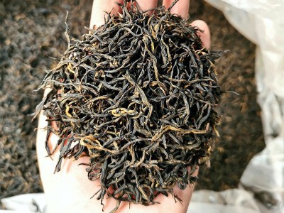 金骏眉红茶蜜香浓香型武夷山桐木关茶叶散装批发500g厂家一件代发图4
