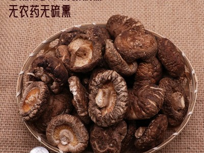 湖北特产香菇光面菇臻香蕈袋装干香菇250克滋补煲汤香菇干货批发图4
