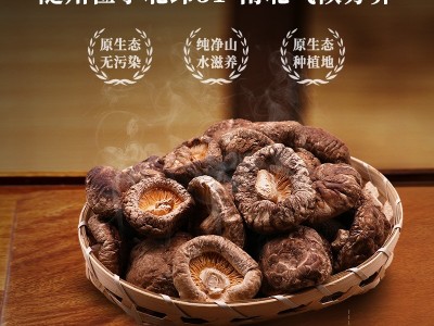 湖北特产香菇光面菇臻香蕈袋装干香菇250克滋补煲汤香菇干货批发图3