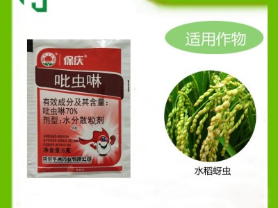 红太阳保庆70%吡虫啉水稻蚜虫图3