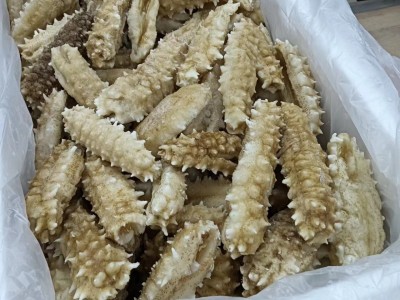 海参厂家直发即食海参即食白金刺身批发零售500g斤装图1