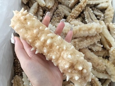 海参厂家直发即食海参即食白金刺身批发零售500g斤装图2