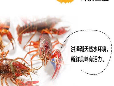 1两起鲜活盱眙十三香龙虾5斤装盱眙洪泽湖鲜活水产养殖清水小龙虾图3