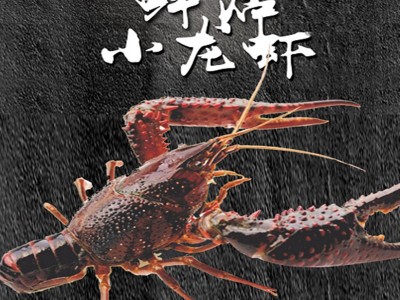 1两起鲜活盱眙十三香龙虾5斤装盱眙洪泽湖鲜活水产养殖清水小龙虾图4