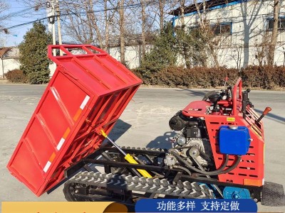 手扶式履带搬运车 橡胶履带拉货车 小型果园运输翻斗车图2