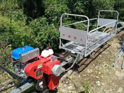 山地单轨运输机 山地果园单轨道运输车 自走式单轨搬运车图2
