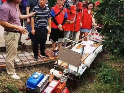 山地单轨运输机 山地果园单轨道运输车 自走式单轨搬运车图4