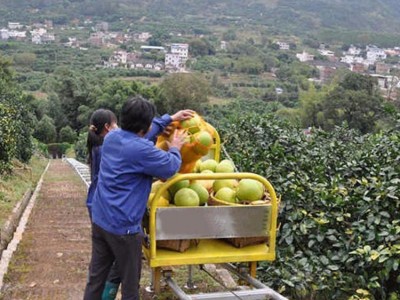 山地单轨运输机 山地果园单轨道运输车 自走式单轨搬运车图3