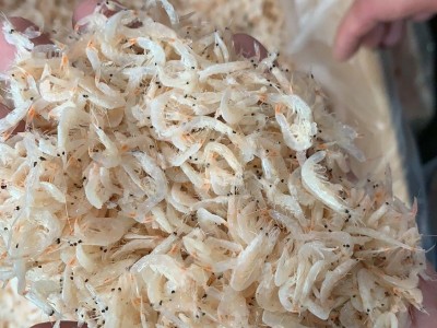虾皮 虾米 淡干 熟虾皮 流水线图3