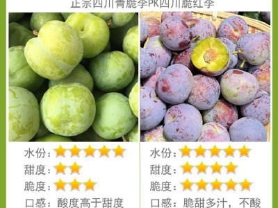 四川李子5斤现货脱骨脆红李茵红李青脆李土李空心李脆甜厂家直销图3