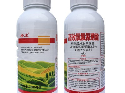 高效氯氟氰菊酯 500毫升 菜青虫玉米小麦果树杀虫剂 功夫菊酯图1
