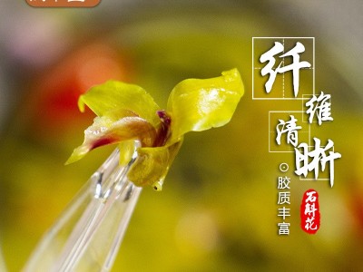 正品铁皮石斛花茶干花养生茶 花茶批发 一件代发（25g/瓶）图2