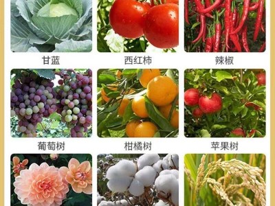 甲维茚虫威虱螨脲高效农药杀虫剂菜青虫蔬菜水稻玉米二化螟杀虫剂图2
