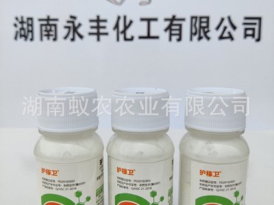 32.5%苯甲嘧菌酯杀菌剂水稻稻瘟病水稻纹枯病水稻稻曲病图5